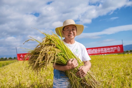 标准化“土特产”成俏年货