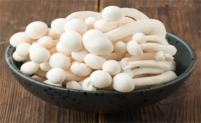 白云菇有什么营养价值 白玉菇的功效与作用-图3