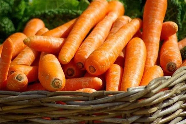 胡萝卜有哪些营养价值 胡萝卜的功效与作用-图1