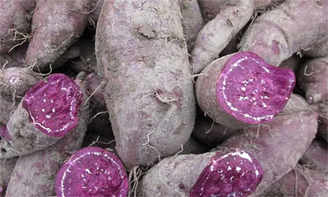 紫薯掉颜色正常吗 紫薯会掉色吗-图3